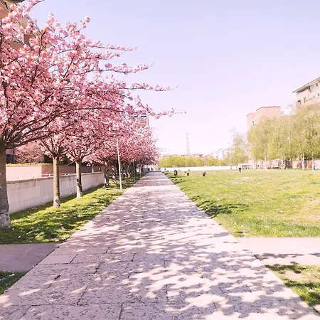 Con Terrazzo Privato Milano San Raffaele -