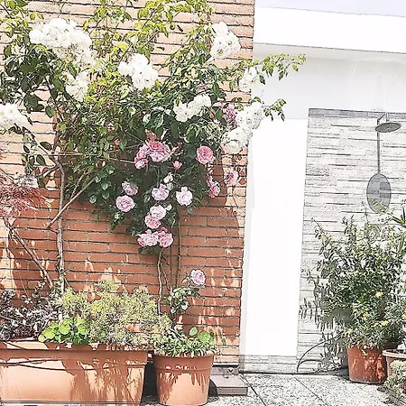 Con Terrazzo Privato Milano San Raffaele - * Vimodrone